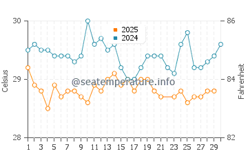 Wassertemperatur Port Royal im Juni