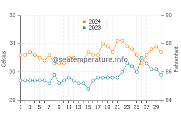 Wassertemperatur Punta im Juni