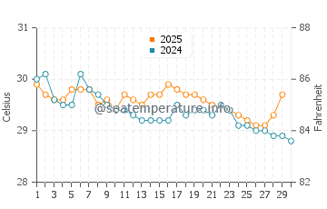Temperature dell'acqua a Isole Raja Ampat a giugno
