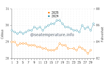 Wassertemperatur Rincón im Juni