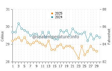 Wassertemperatur São José de Ribamar im Juni