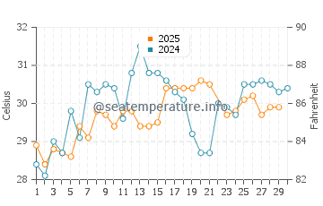 Wassertemperatur Spring Hill im Juni