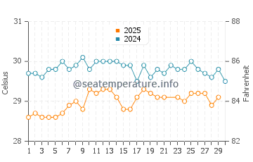 Wassertemperatur Tebikerei im Juni