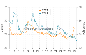 Wassertemperatur Tintafor im Juni