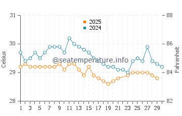 Wassertemperatur Xcalak im Juni