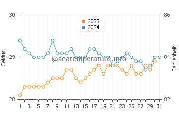 Wassertemperatur Boca del Yuma im Juli