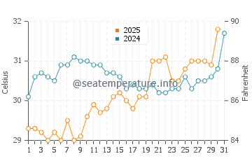 Chokoloskee water temp chart in July