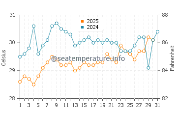 Coco Plum Beach water temp chart in July
