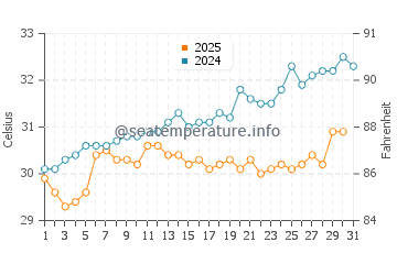 Temperature dell'acqua a Golfo de Santa Clara a luglio