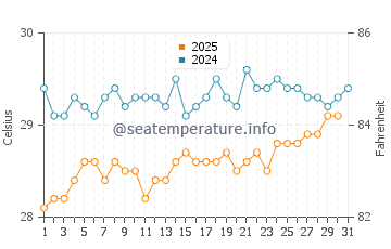 Temperature dell'acqua a Grand Turk a luglio