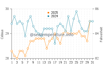Wassertemperatur West Bay im Juli