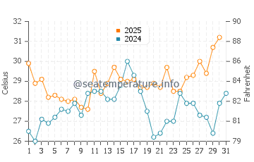 Manns Harbor water temp chart in July