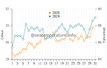 Wassertemperatur Marathon im Juli
