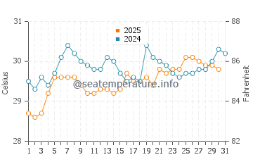 Temperature dell'acqua a Boca del Río a luglio