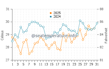 Wassertemperatur Port St. Lucie im Juli