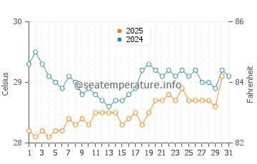 Temperature dell'acqua a Puerto Castilla a luglio