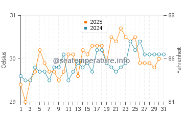 Punta Allen water temp chart in July
