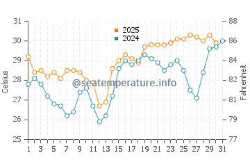 Temperature dell'acqua a San José del Cabo a luglio