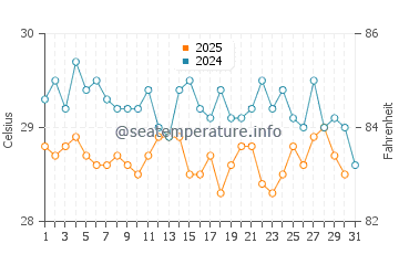 Wassertemperatur São José de Ribamar im Juli