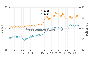Temperatura del agua en Sayulita en julio