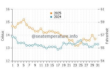 Wassertemperatur Tamaki im Juli