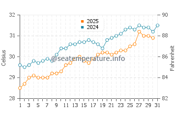 Tulip Beach water temp chart in July