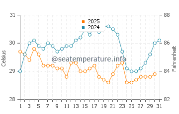 Zamami water temp chart in July