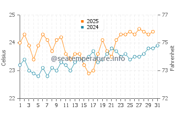 Adeje water temp chart in August
