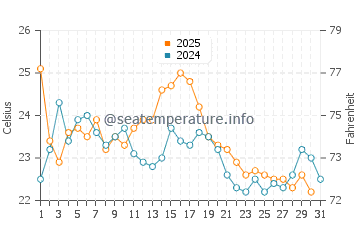 Allenhurst water temp chart in August