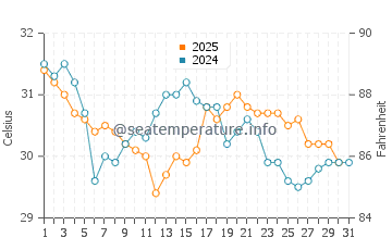 Alligator Point water temp chart in August