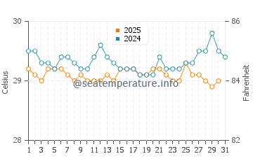 Temperature dell'acqua ad Ananindeua ad agosto