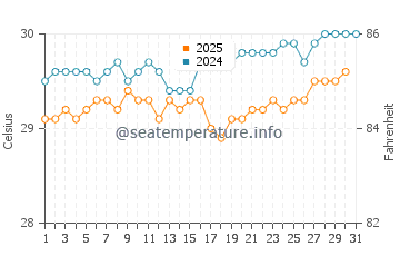Temperature dell'acqua ad Anse Marcel ad agosto