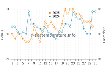 Temperature dell'acqua ad Antón Lizardo ad agosto