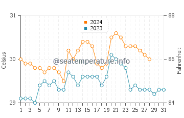 Apo Reef water temp chart in August