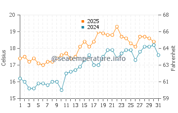 Avalon Beach water temp chart in August