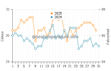 Harbour Island water temp chart in August