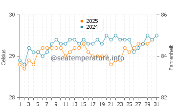 Temperature dell'acqua a Bávaro ad agosto