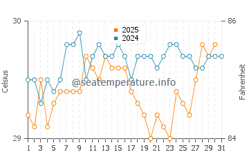 Temperature dell'acqua a Canto de la Playa ad agosto