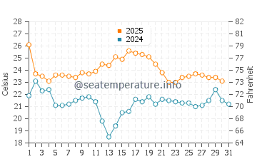 Wassertemperatur Cape May im August