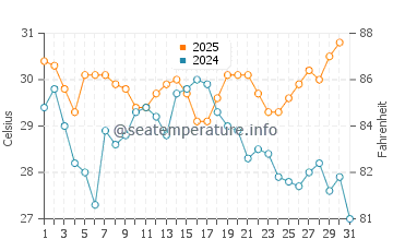 Temperatura del agua en Playa el Chileno en agosto
