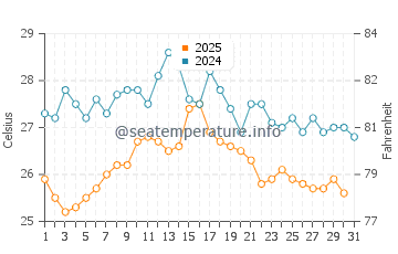 Wassertemperatur Cinquale im August
