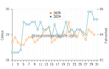 Temperature dell'acqua a Isla Catalina ad agosto