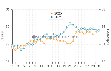 Playa Blanca water temp chart in August