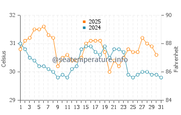Current Island water temp chart in August