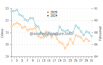 Daedalus Reef water temp chart in August