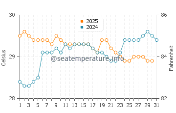 Dominical water temp chart in August