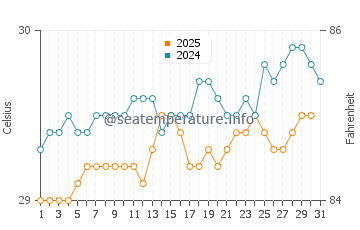 Temperature dell'acqua a Dorado ad agosto