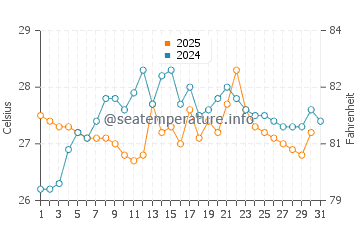 Wassertemperatur Findikli im August