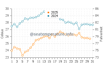 Wassertemperatur Focene im August