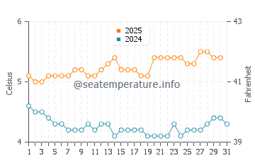 Wassertemperatur Fox Bay im August
